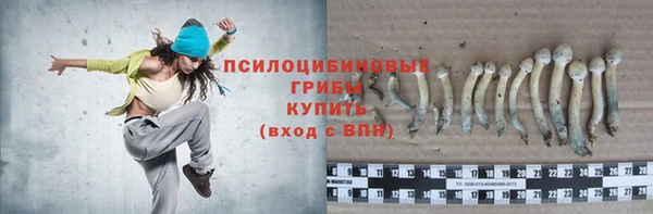 прущая мука Касимов