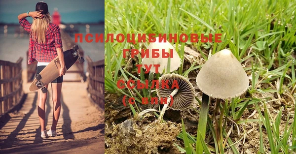 прущая мука Касимов