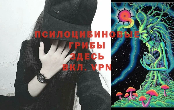 mdma Карталы